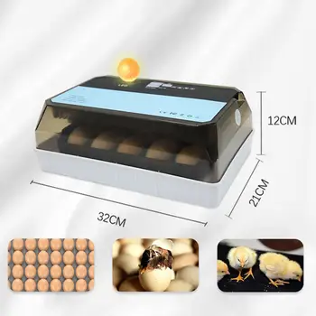 Инкубатор для яиц Автоматический переворот яиц Инкубатор для цыплят с легким выводным устройством для цыплят Изображение