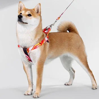 Поводок для собак в китайском стиле, веревочная шлейка для собак, шлейка для собак и набор поводков, ошейник для собак, шлейка для собак, собака среднего размера Изображение